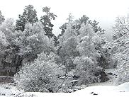 Адыл-Су в снегу